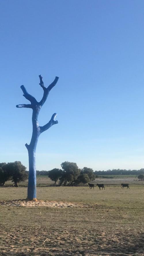 Blue Tree Project Blue Tree Project