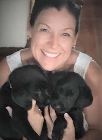 Who gets the pets in divorce